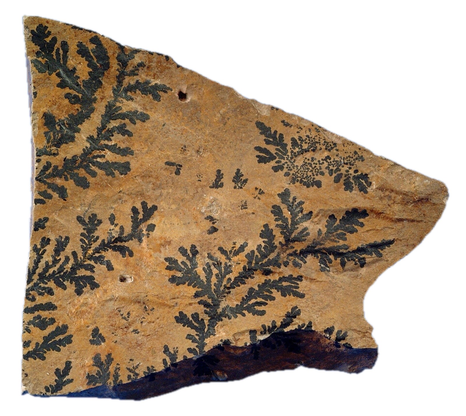 Manganese mineral specimen